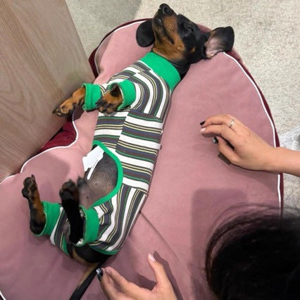 Striped Dog Vest - Warm Winter Coat for Small to Medium Dogs