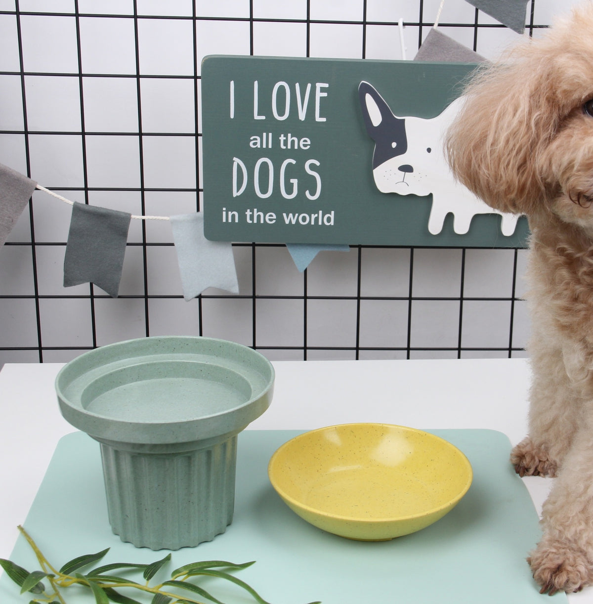 Bamboo Fibre 3-in-1 Pet Bowl Set - Eco-Friendly Dog Cat Feeder