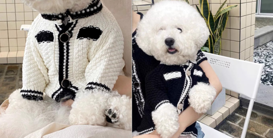 Cosy Knitted Dog Cardigan - Striped & Patterned Designs