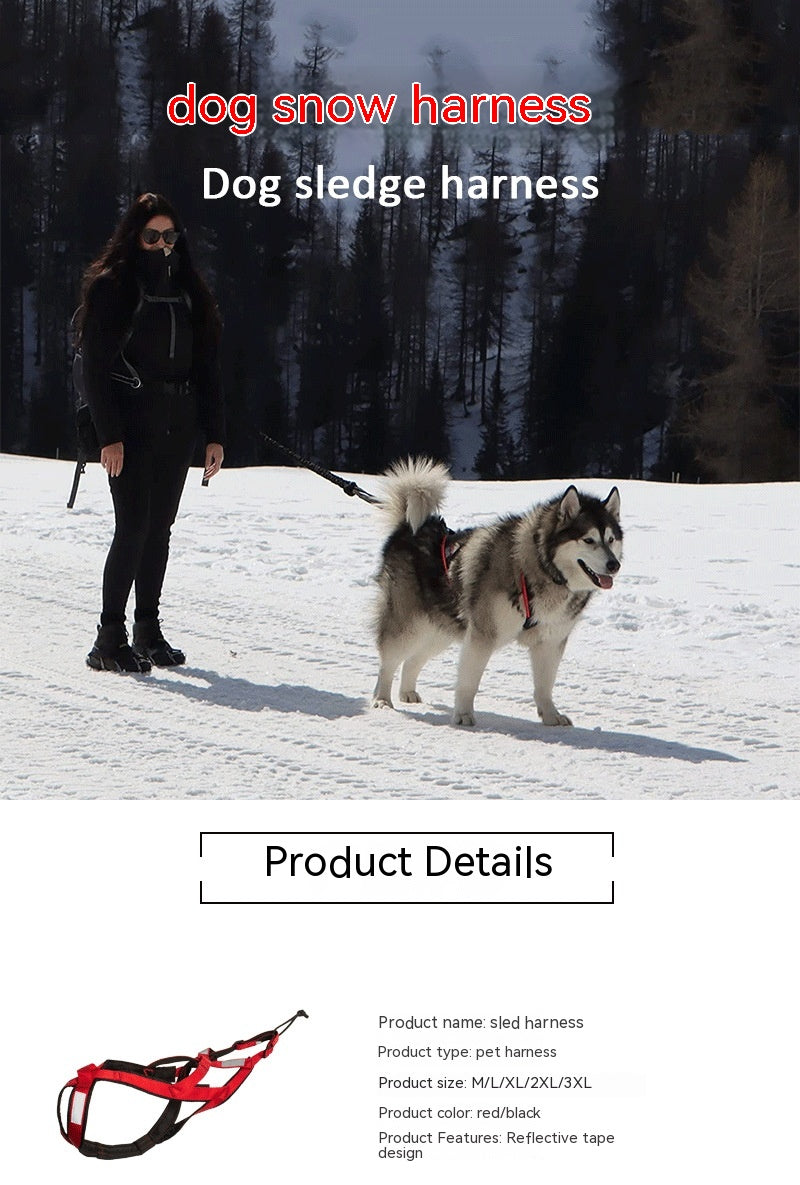 Adventure Dog Harness - Padded Chest Strap for Active Dogs