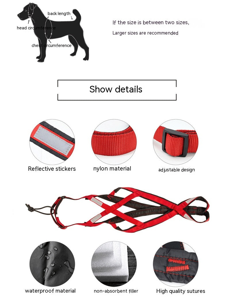 Adventure Dog Harness - Padded Chest Strap for Active Dogs