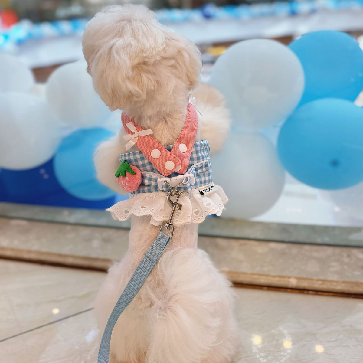 Breathable Cotton Dog Harness Vest - Plaid Design for Small Dogs