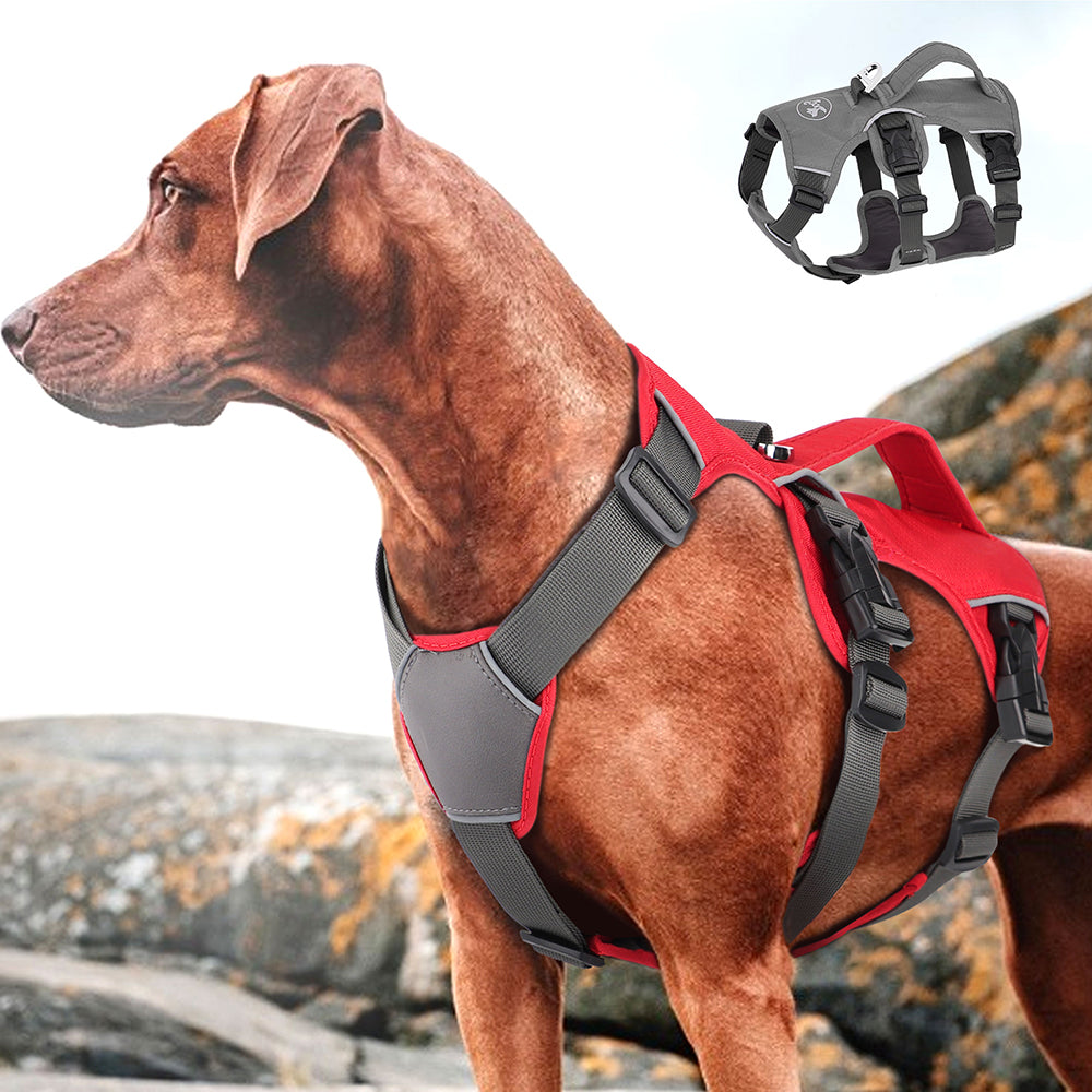 Breathable Dog Harness Vest - Adjustable Chest Strap for Comfort