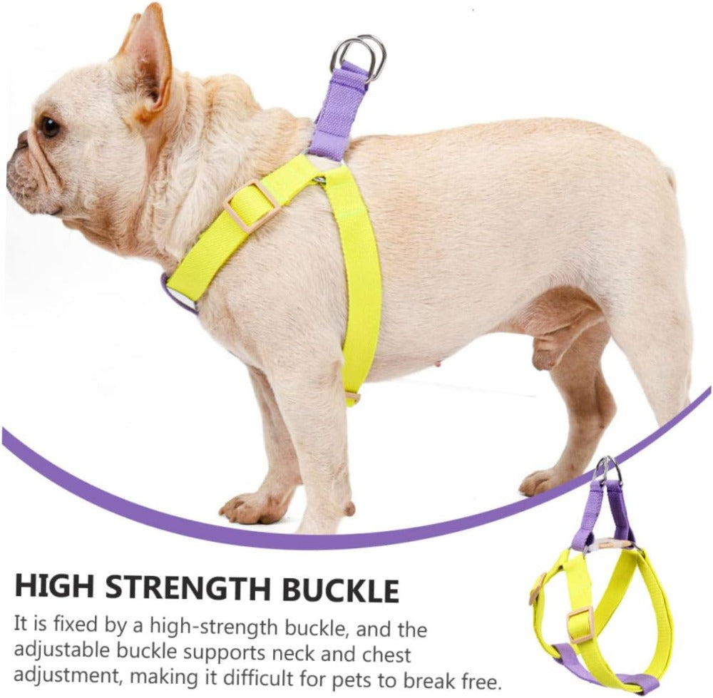 No-Pull Dog Harness & Leash Set - Perfect for Small Dogs