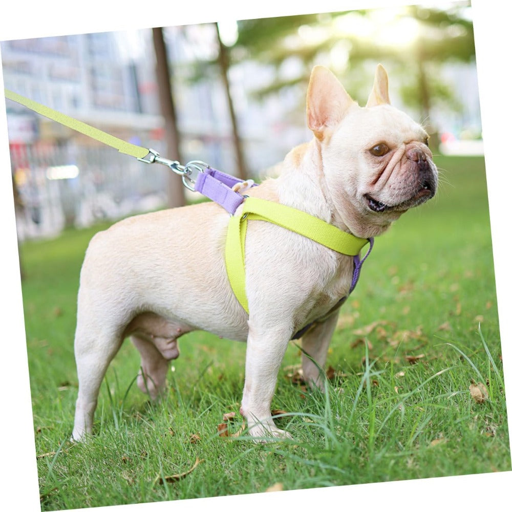 No-Pull Dog Harness & Leash Set - Perfect for Small Dogs