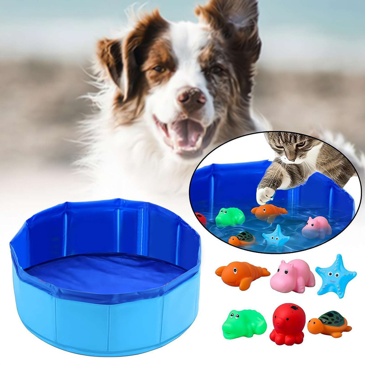 Foldable Dog Pool & Squeaky Toy Set - Summer Fun Bundle