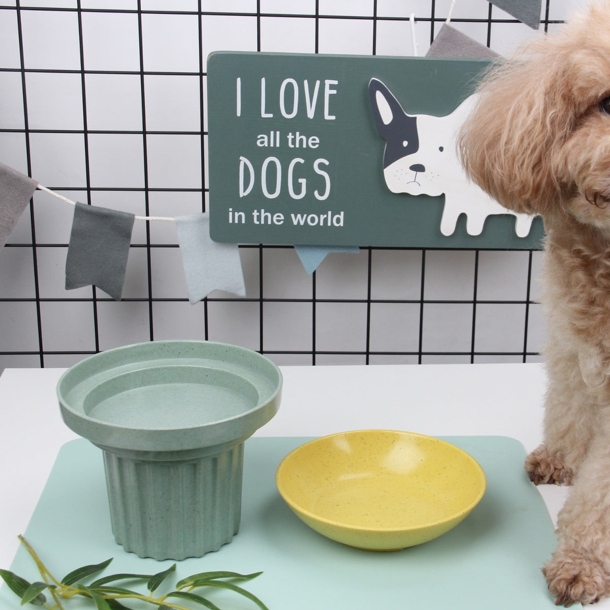 Bamboo Fibre 3-in-1 Pet Bowl Set - Eco-Friendly Dog Cat Feeder