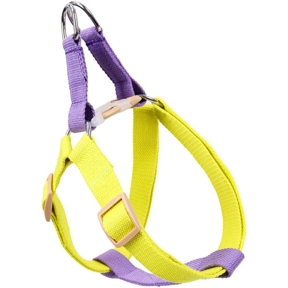 No-Pull Dog Harness & Leash Set - Perfect for Small Dogs