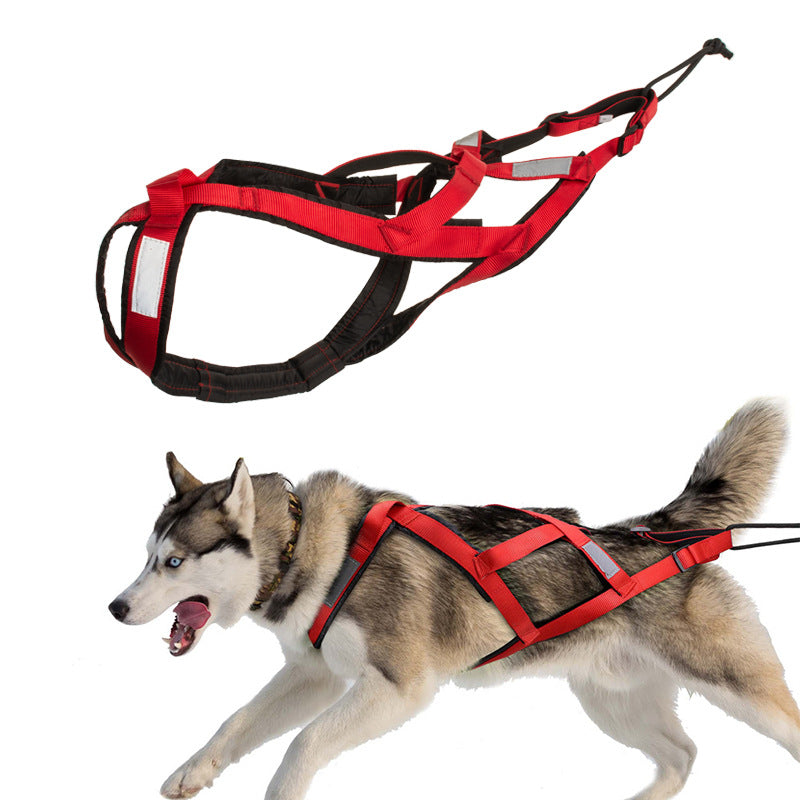 Adventure Dog Harness - Padded Chest Strap for Active Dogs