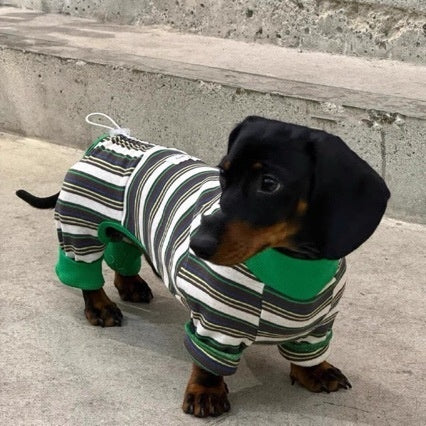 Striped Dog Vest - Warm Winter Coat for Small to Medium Dogs